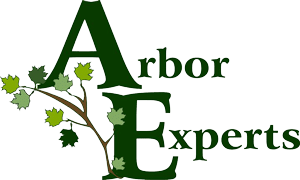 Logo-Arbor-Experts-Color