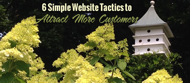 6 Simple Website Tactics to attract MORE customers