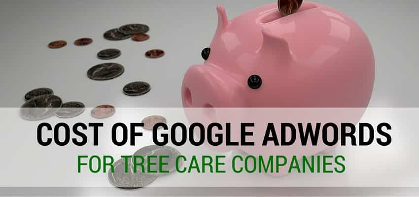 Cost of Google AdWords for tree care companies