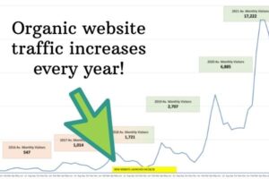 graph showing yearly increase in organic website traffic