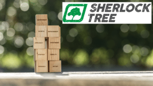 A stack of building blocks with business-oriented words against a green background. The logo for Sherlock Tree Company is in the top right corner.