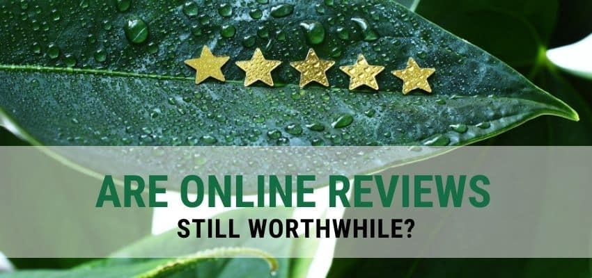 TCMS blog header online reviews worthwhile