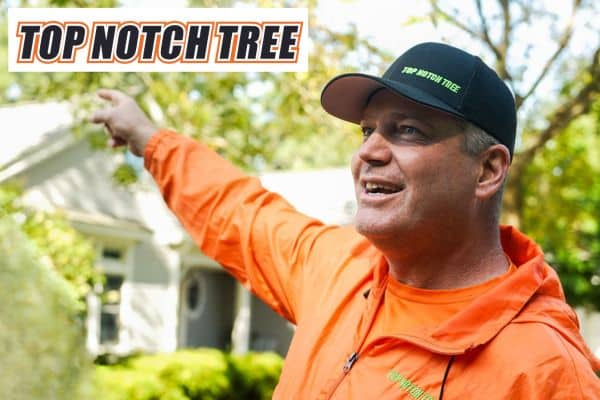 Jeff Van Meter of Top Notch Tree in MA standing in front of a customer's house and pointing at a tree.